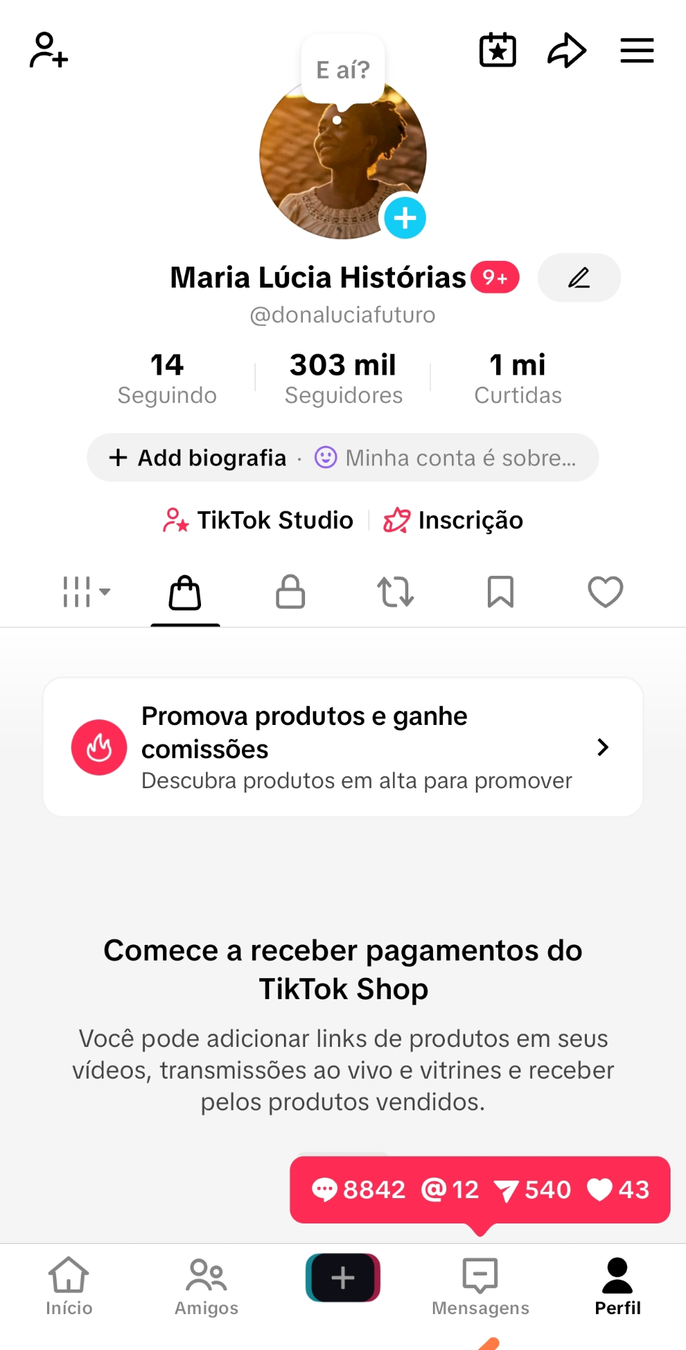 (SHOP) 303 Mil Seguidores com Shop Sem Documento