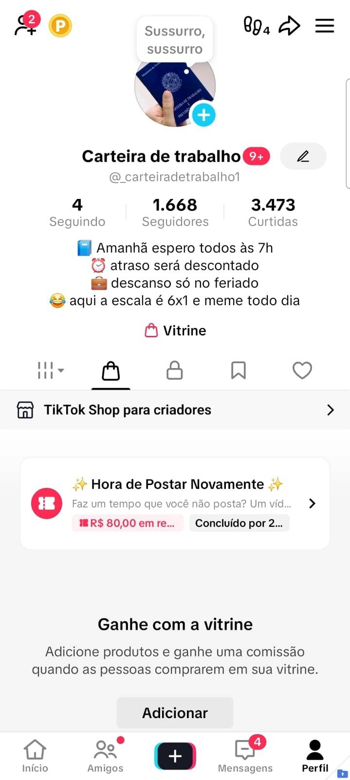 (SHOP) 1,6 Mil Seguidores com Shop Ativo